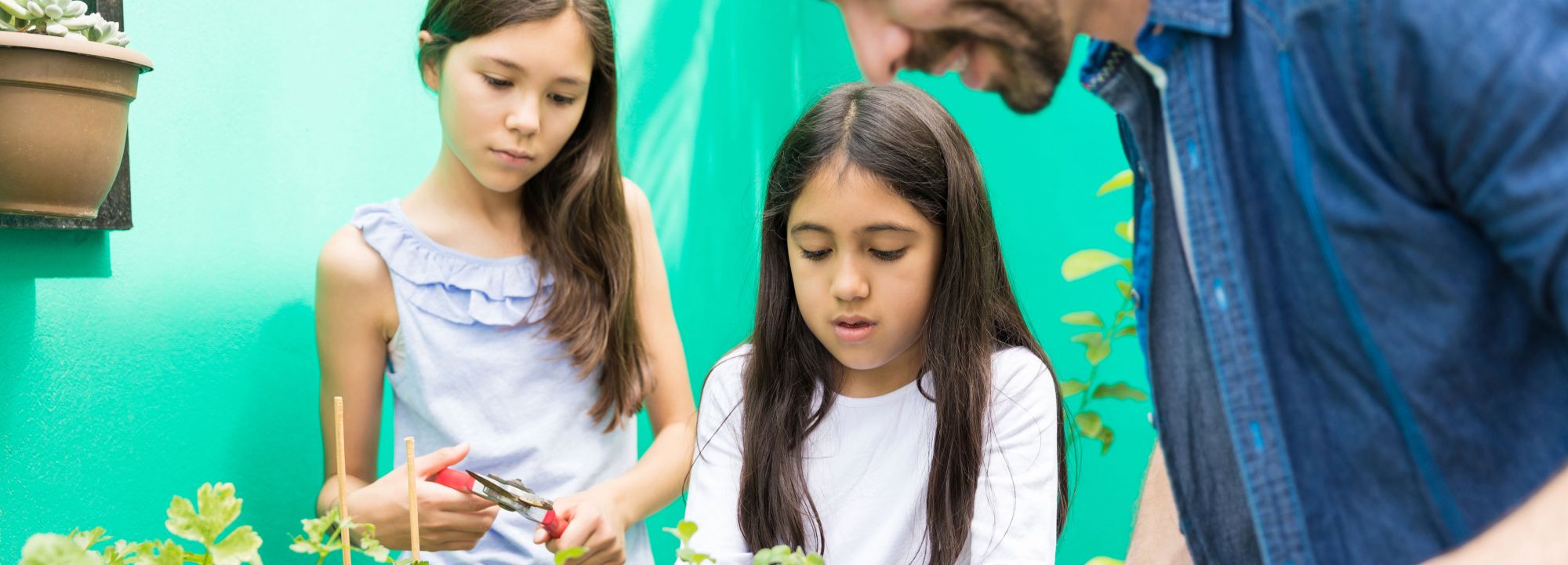 Zwei Mädchen und ein Betreuer pflanzen Kräuter in ein Hochbeet