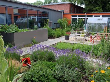 Garten mit verschiedenen Beeten und Pflanzen der offenen Ganztagsschule am Wittmoor